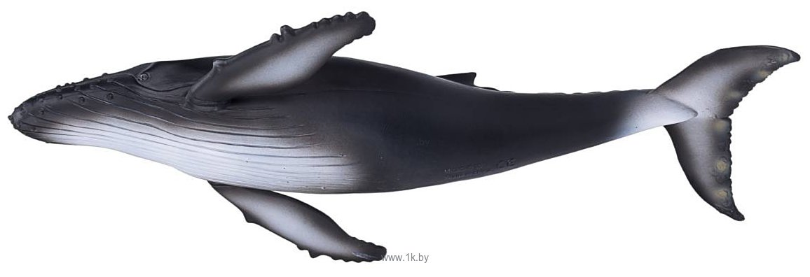 Фотографии Konik Горбатый кит AMS3006