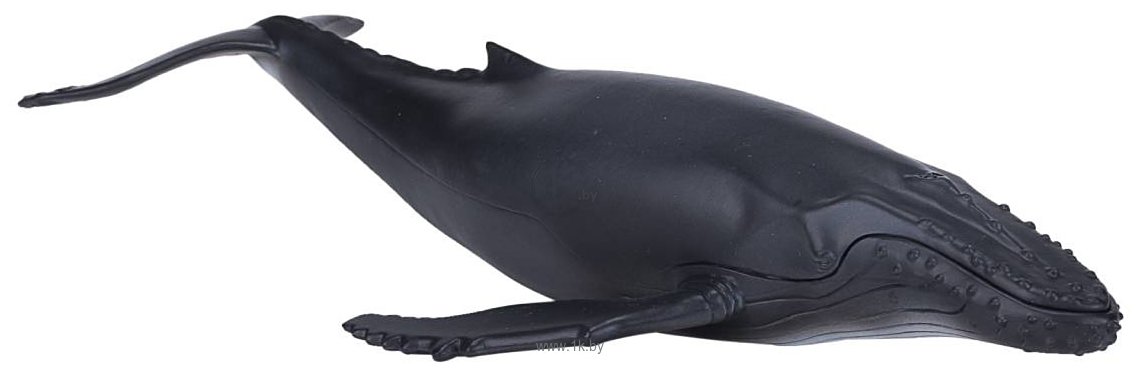 Фотографии Konik Горбатый кит AMS3006