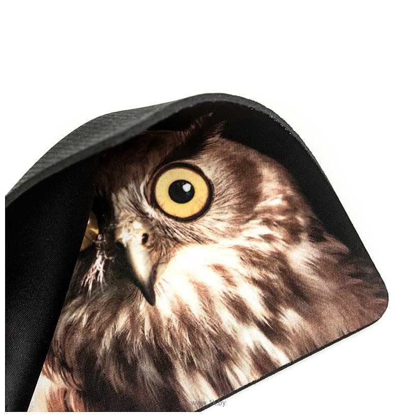 Фотографии Dialog PM-H15 Owl