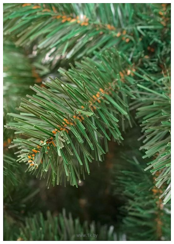 Фотографии Holiday Trees Европейская 2.5 м