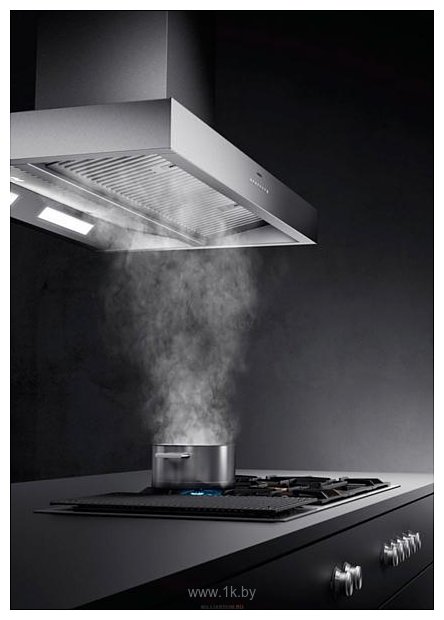 Фотографии Gaggenau AI 442-100