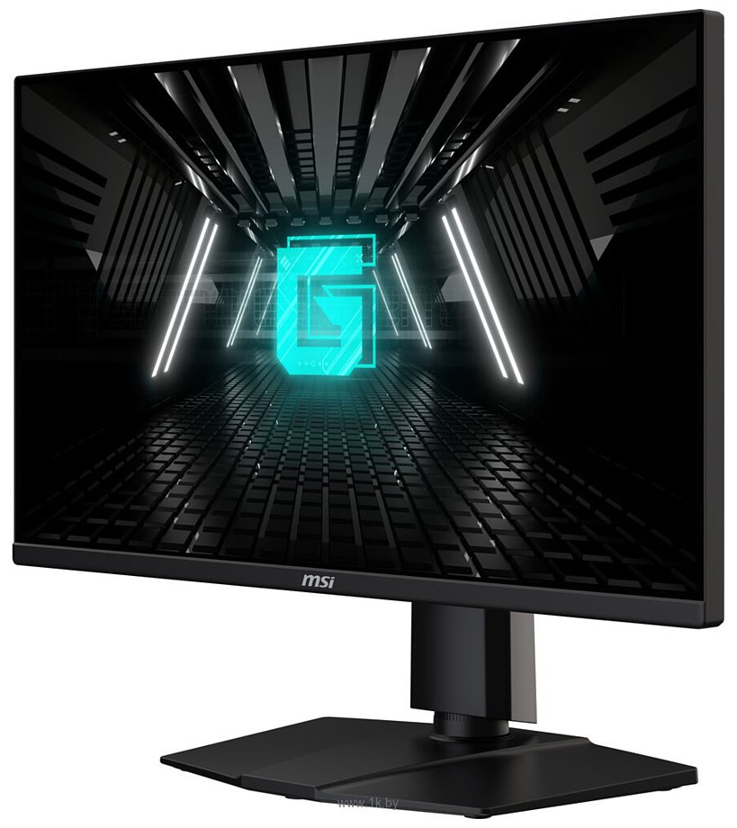 Фотографии MSI G255PF E2
