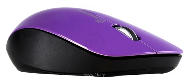 Фотографии SmartBuy SBM-309AG-P Purple USB