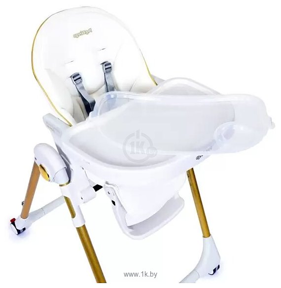 Фотографии Peg-Perego Prima Pappa Follow Me (gold)