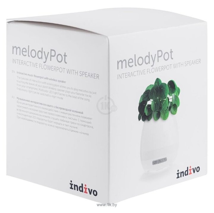 Фотографии Indivo melodyPot