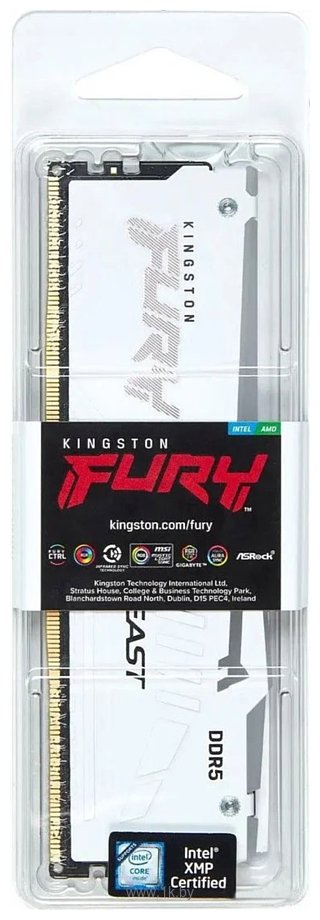 Фотографии Kingston FURY Beast RGB KF552C36BWEA-32