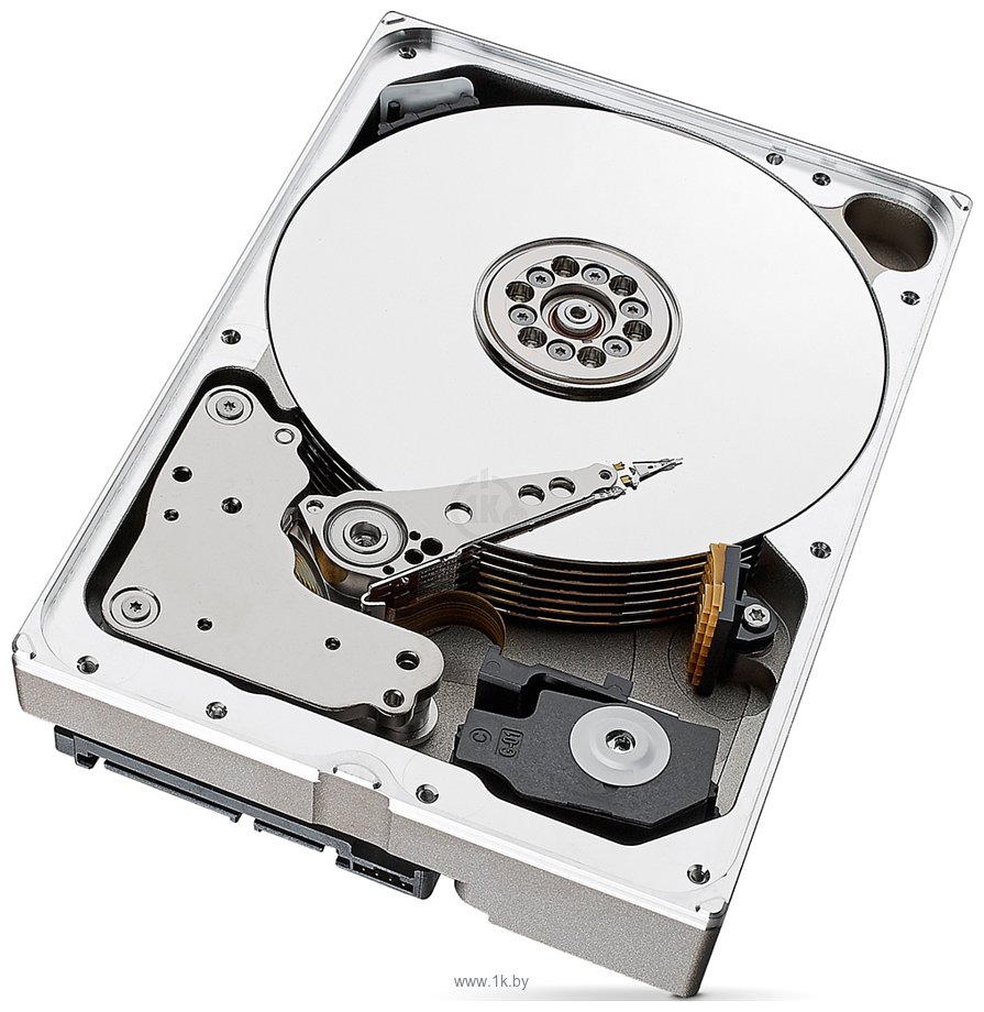 Фотографии Seagate SkyHawk AI 10TB ST10000VE000