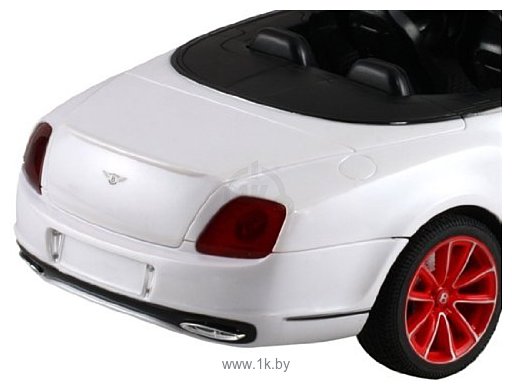 Фотографии MZ Bentley GT Supersport 1:14 (2049)