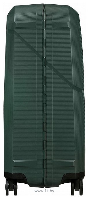 Фотографии Samsonite Magnum Eco Forest Green 69 см