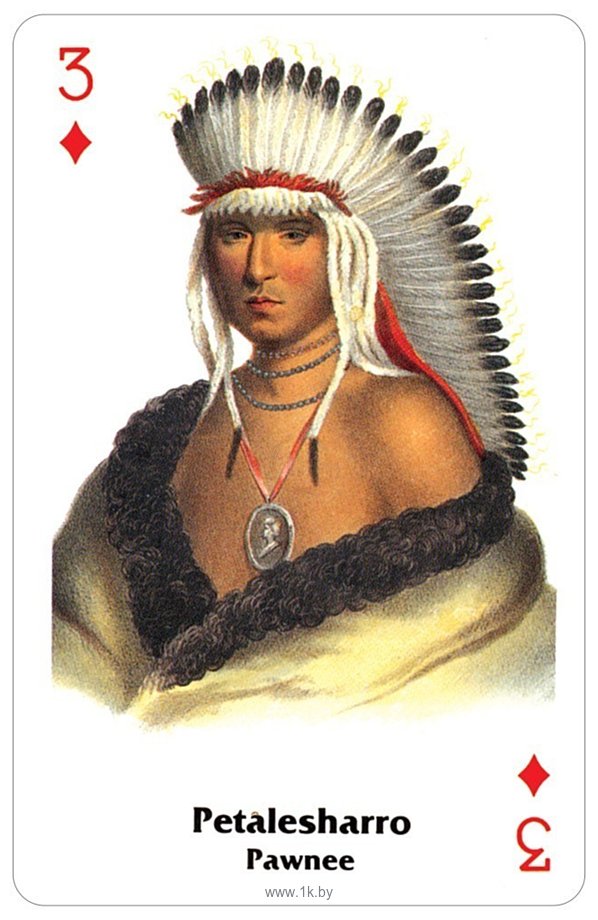 Фотографии US Games Systems Native American Playing Cards Set One NAPB51
