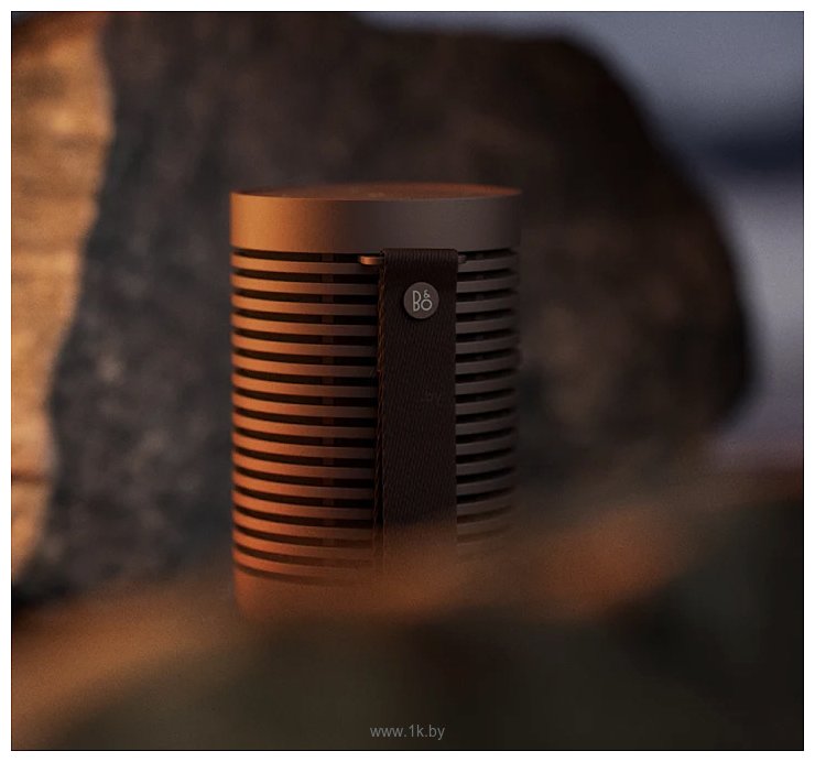 Фотографии Bang & Olufsen Beosound Explore (коричневый)