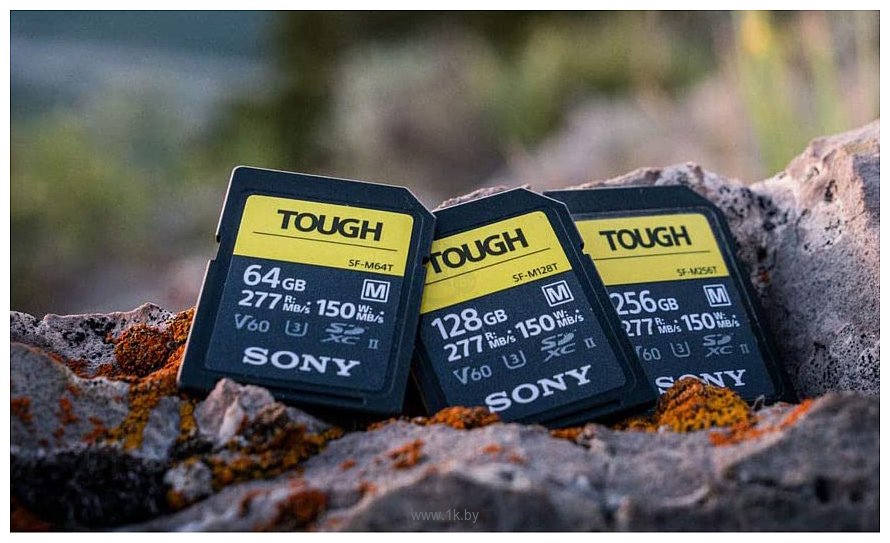 Фотографии Sony SF-M Tough SDXC 64GB