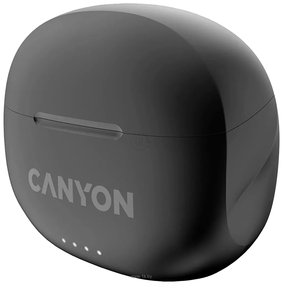 Фотографии Canyon TWS-8 (черный)