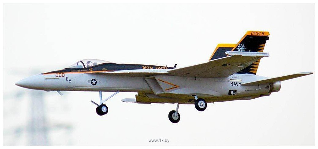 Фотографии FreeWing F18 4S (64 мм) PNP