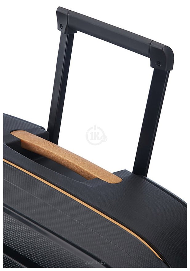 Фотографии Samsonite S'Cure Eco Black 75 см