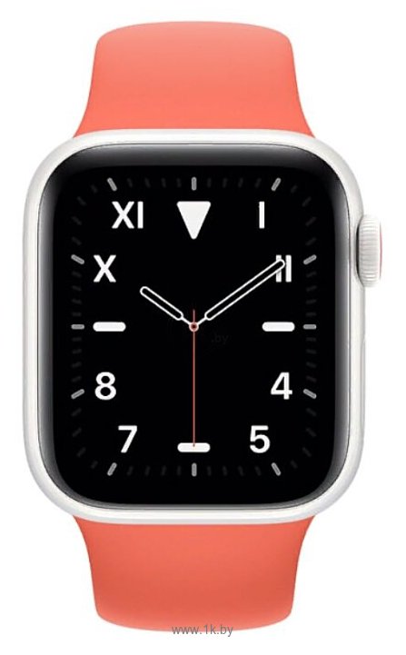 Фотографии Apple Watch Edition Series 5 GPS + Cellular 44mm Ceramic Case with Sport Band