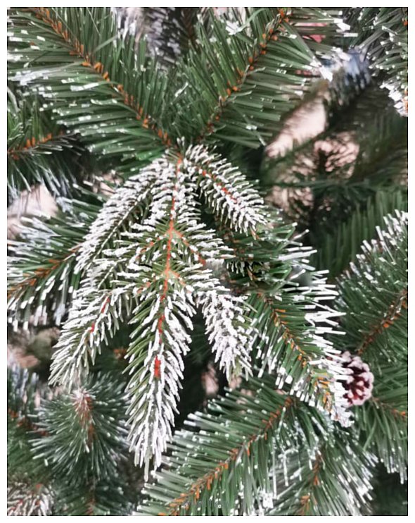 Фотографии Christmas Tree Северная люкс с шишками 1.5 м