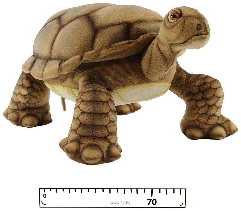 Фотографии Hansa Сreation Галапагосская черепаха 6595 (70 см)