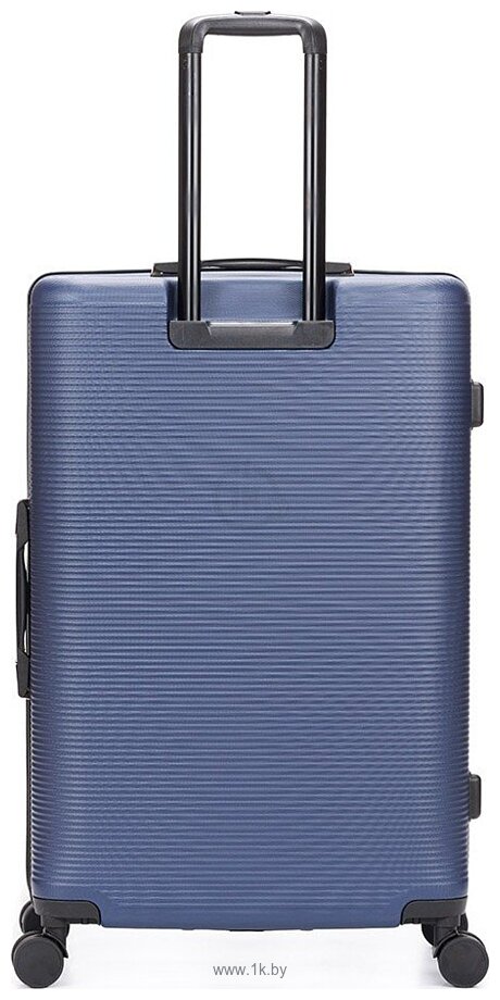 Фотографии Torber Onego T2081BLL (синий) Фотографии Torber Onego T2081BLL (синий)