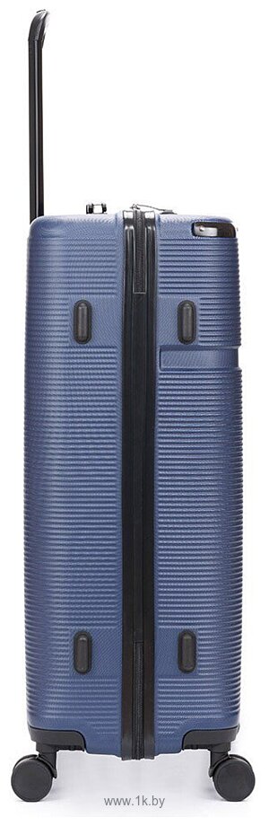 Фотографии Torber Onego T2081BLL (синий) Фотографии Torber Onego T2081BLL (синий)