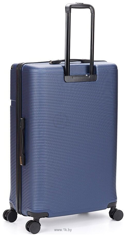 Фотографии Torber Onego T2081BLL (синий) Фотографии Torber Onego T2081BLL (синий)