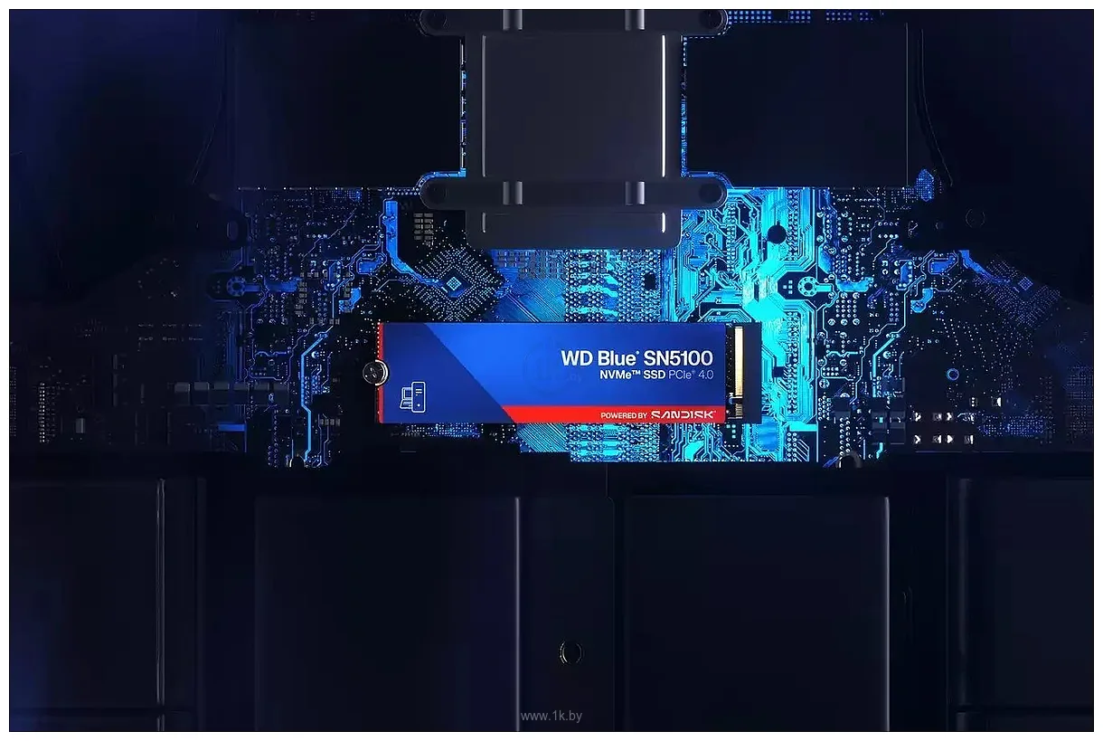 Фотографии WD Blue SN5100 1TB WDS100T5B0E