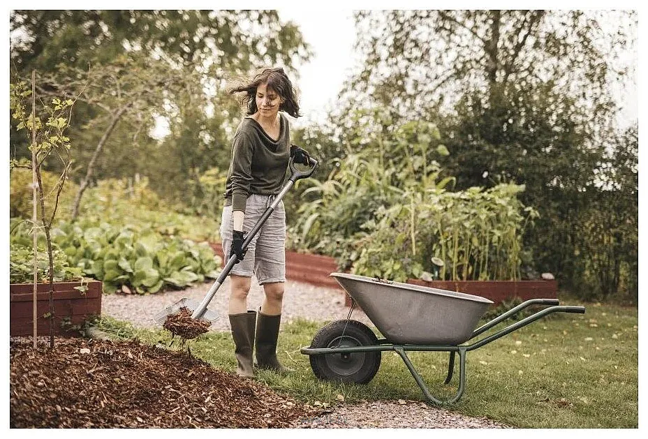 Фотографии Fiskars 1066712