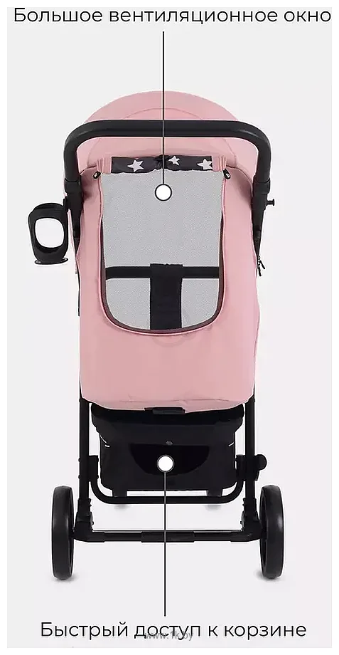 Фотографии Rant Vega Star