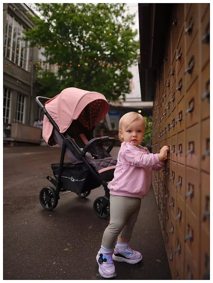 Фотографии Rant Vega Star