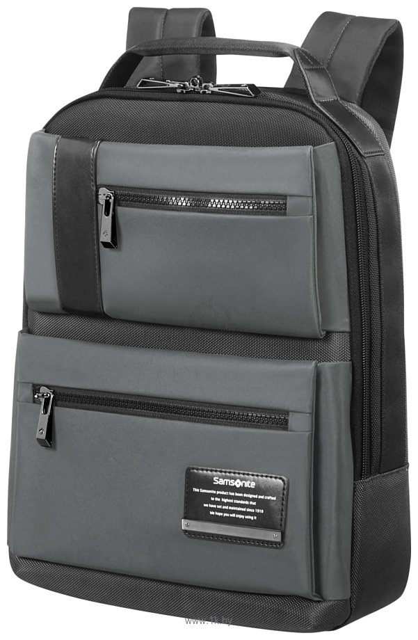 Фотографии Samsonite 24N*010