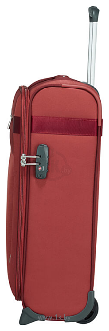 Фотографии Samsonite Citybeat Cherry (2 колеса) 55 см