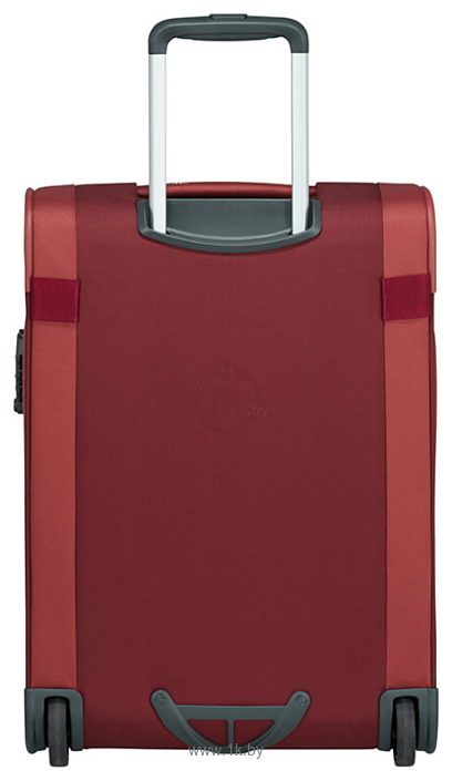 Фотографии Samsonite Citybeat Cherry (2 колеса) 55 см