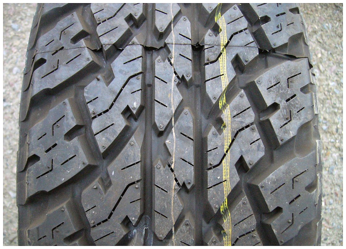 Фотографии Bridgestone Dueler A/T 693 265/55 R20 113V