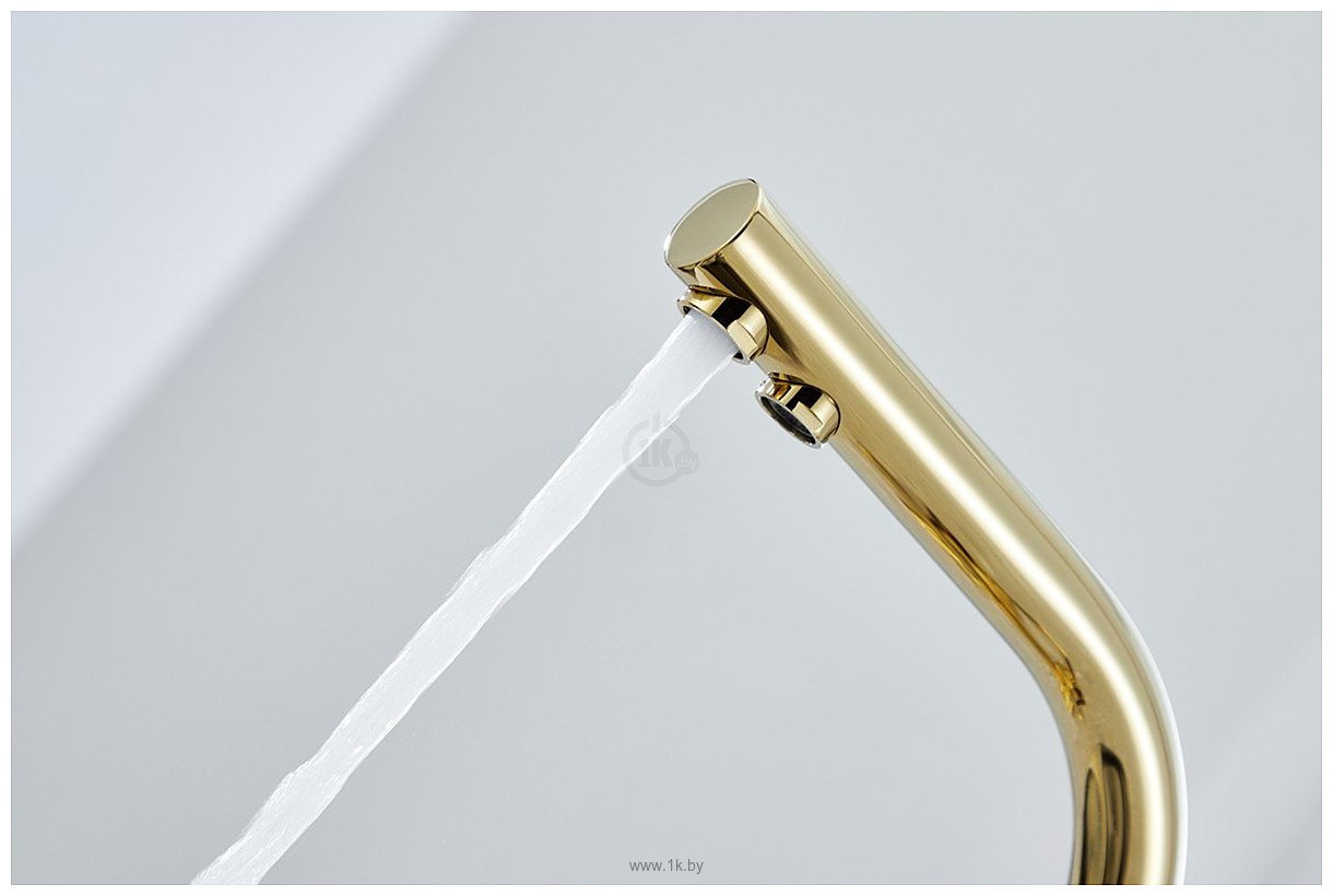 Фотографии Paulmark Essen Es213011-G (золото) Фотографии Paulmark Essen Es213011-G (золото)