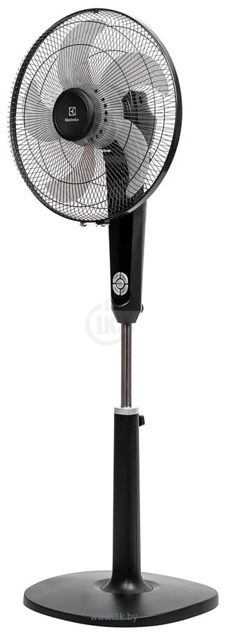 Фотографии Electrolux EFF-1004B