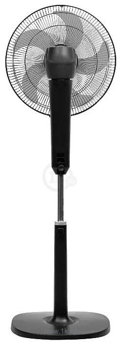 Фотографии Electrolux EFF-1004B