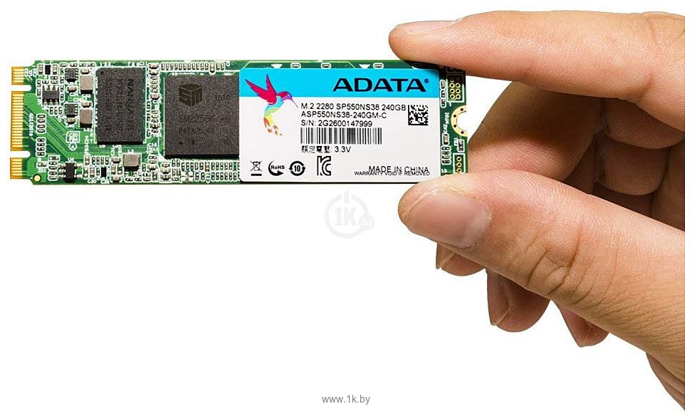 Фотографии ADATA Premier SP550 240GB (ASP550NS38-240GM-C)