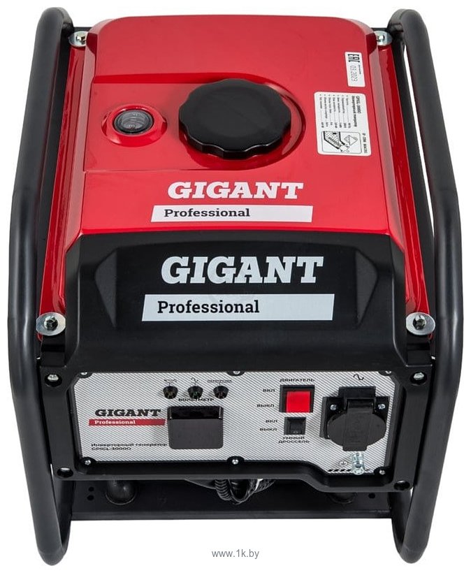 Фотографии Gigant Professional GPIGL-3000O