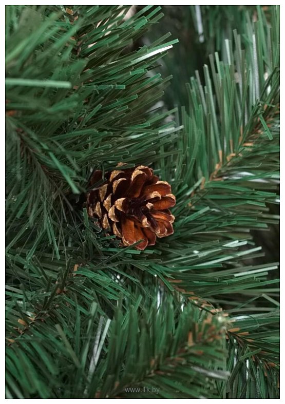 Фотографии Holiday Trees Беловежская Ш 2.5 м