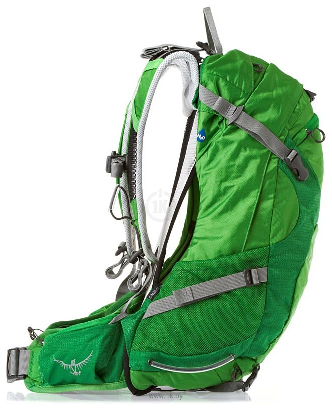 Фотографии Osprey Stratos 24L Pine Green