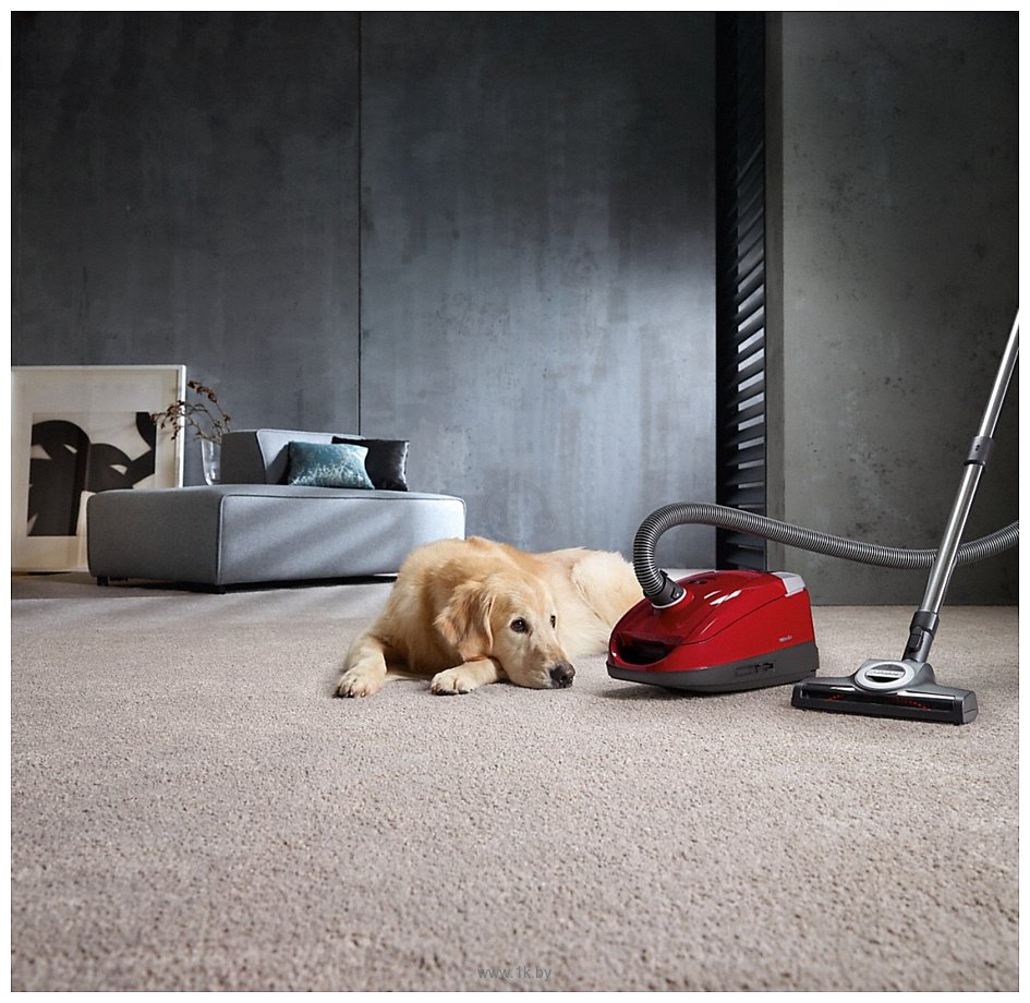 Фотографии Miele SDBF5 Compact C2 Cat & Dog