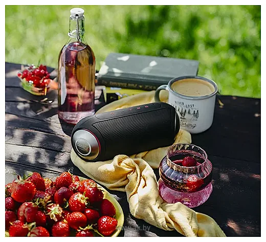 Фотографии Camry CR 1901 SD AUX Фотографии Camry CR 1901 SD AUX