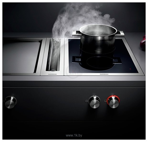 Фотографии Gaggenau VL 414-111