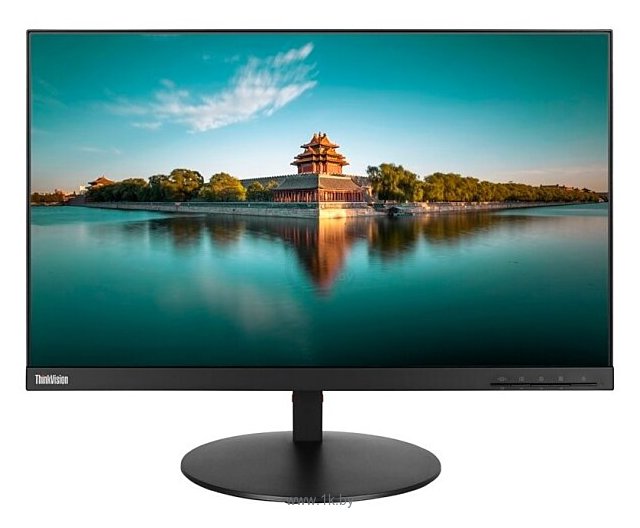 Фотографии Lenovo ThinkVision P24q-20