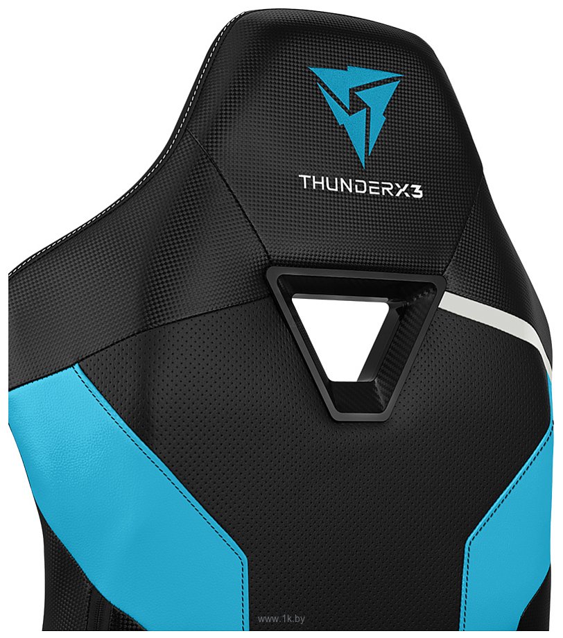 Фотографии ThunderX3 TC3 (черный/синий)