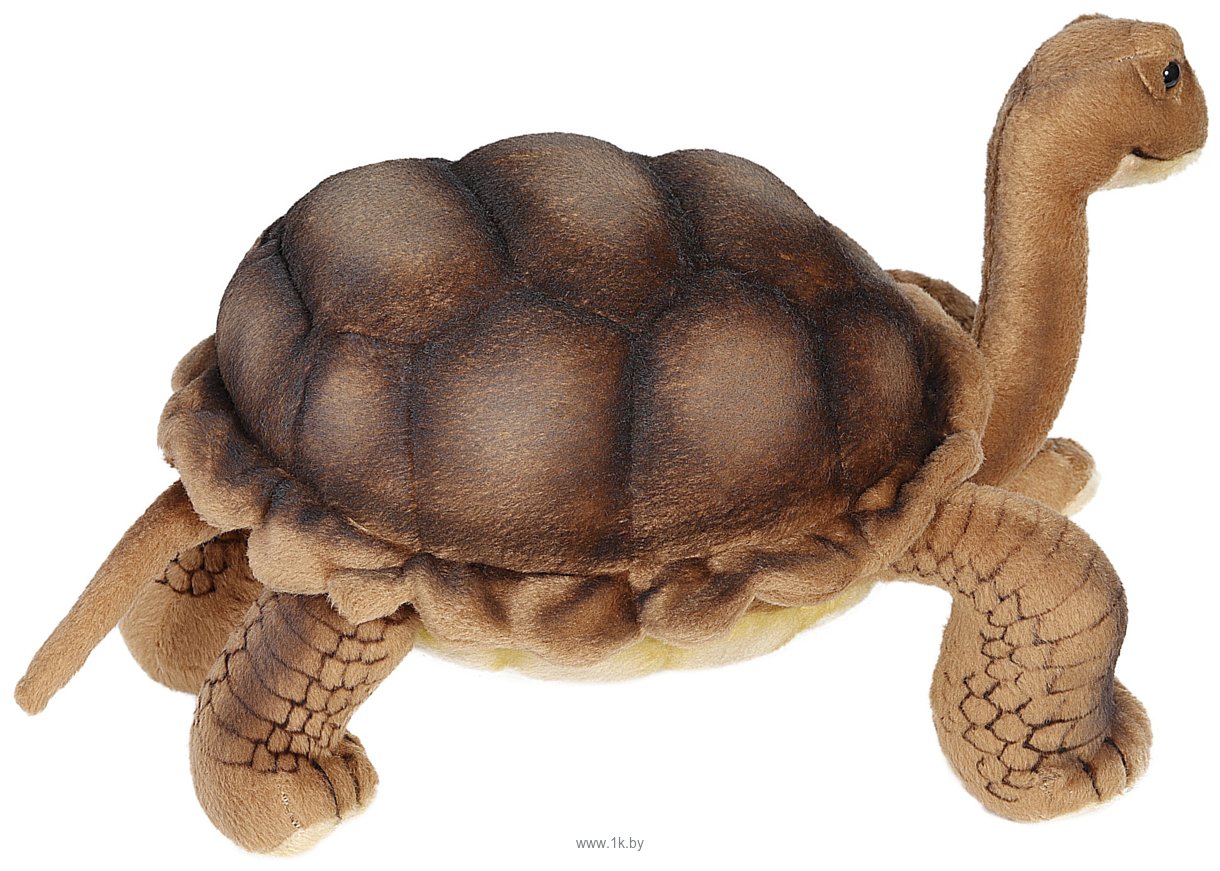 Фотографии Hansa Сreation Галапагосская черепаха 6461 (30 см)
