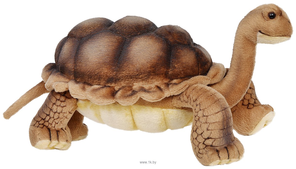 Фотографии Hansa Сreation Галапагосская черепаха 6461 (30 см)