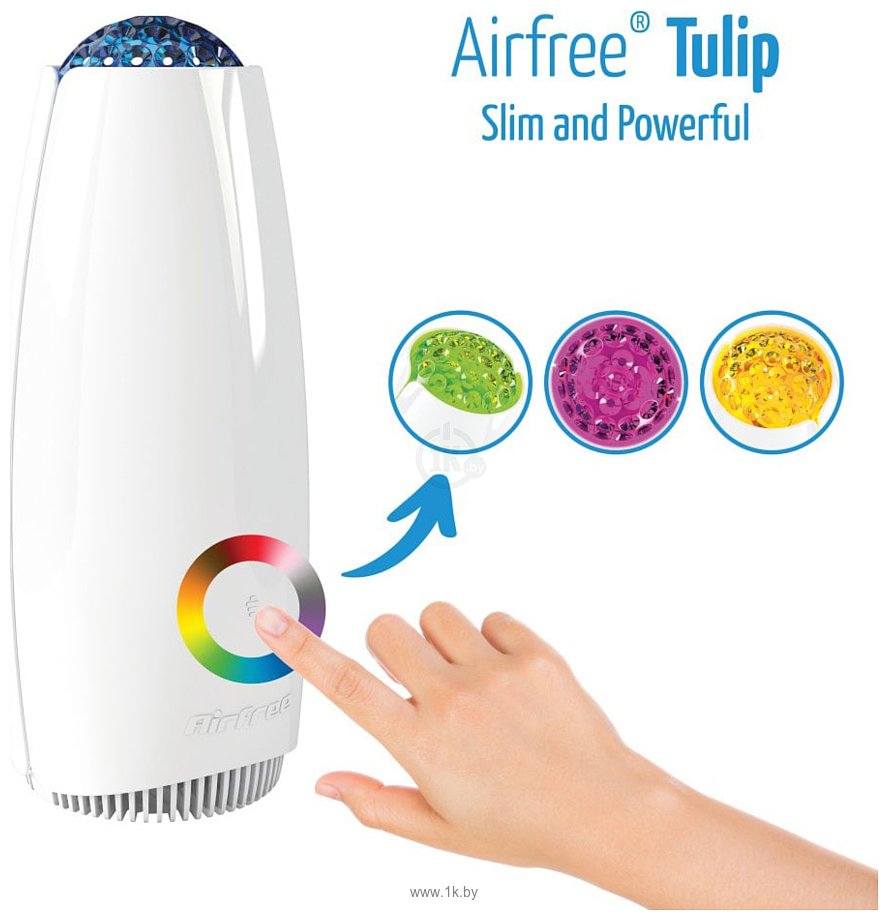 Фотографии AirFree Tulip 80