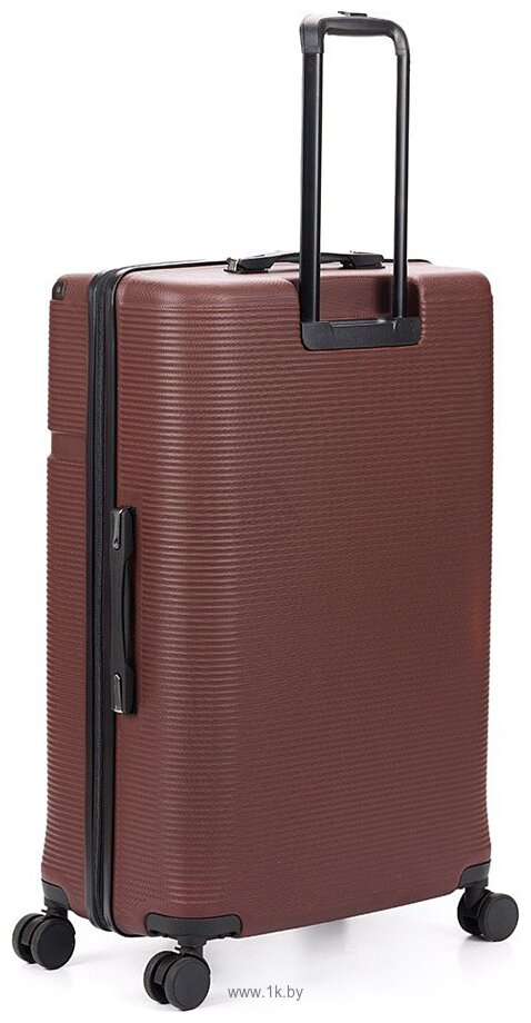 Фотографии Torber Onego T2081BM (бордовый) Фотографии Torber Onego T2081BM (бордовый)