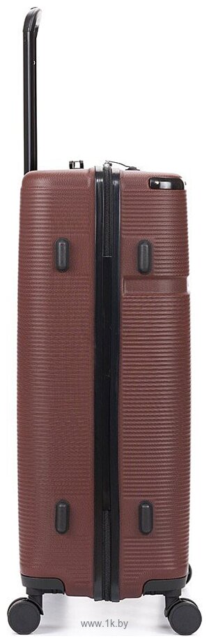 Фотографии Torber Onego T2081BM (бордовый) Фотографии Torber Onego T2081BM (бордовый)